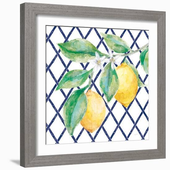 Everyday Chinoiserie Lemons II-Mary Urban-Framed Art Print