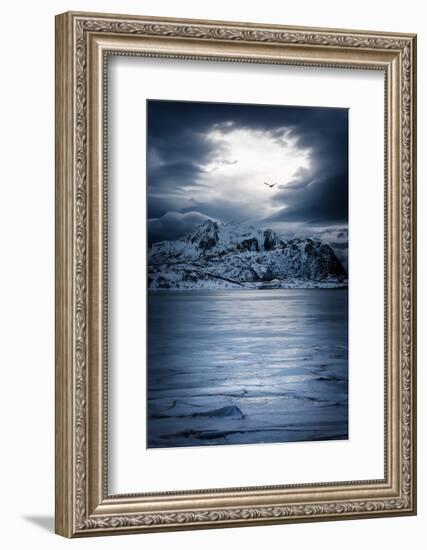 Everything Falls Into Place-Philippe Sainte-Laudy-Framed Photographic Print