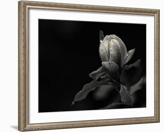 Everything's Gonna Be Everything-Geoffrey Ansel Agrons-Framed Photographic Print