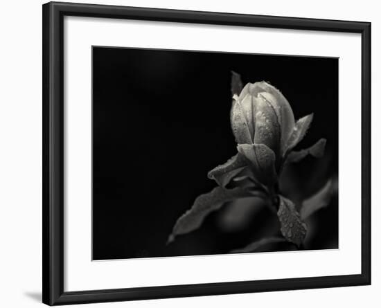 Everything's Gonna Be Everything-Geoffrey Ansel Agrons-Framed Photographic Print