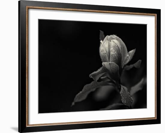 Everything's Gonna Be Everything-Geoffrey Ansel Agrons-Framed Photographic Print