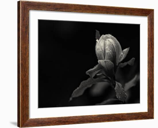 Everything's Gonna Be Everything-Geoffrey Ansel Agrons-Framed Photographic Print
