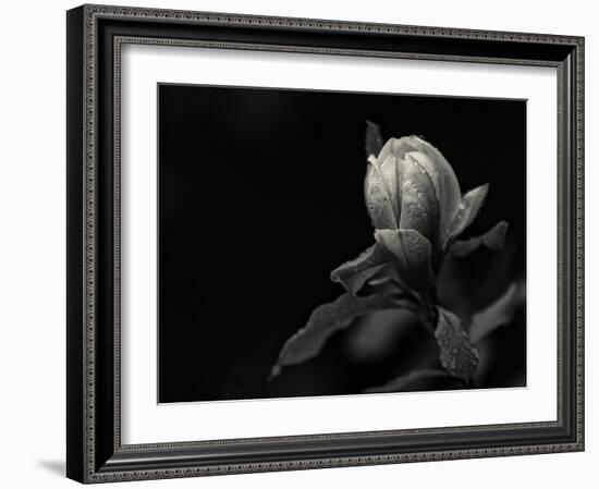 Everything's Gonna Be Everything-Geoffrey Ansel Agrons-Framed Photographic Print