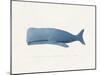 Everything Whale Be All Right-Leah Straatsma-Mounted Art Print