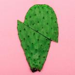 Cactus on Pink Background. Minimal Design Photo-Evgeniya Porechenskaya-Framed Photographic Print