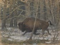 The Wood Bison-Evgeny Alexandrovich Tichmenev-Framed Giclee Print