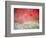 Evidence-Marco Carmassi-Framed Photographic Print