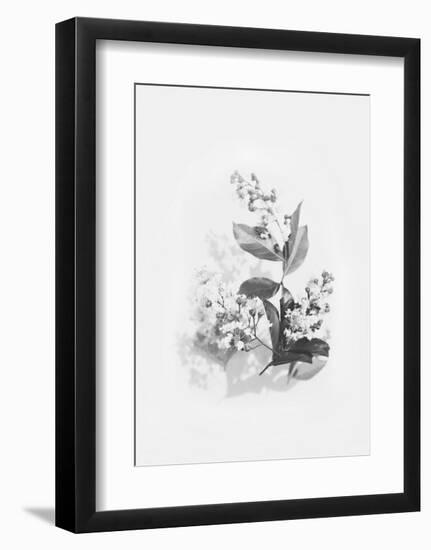 Evie-Design Fabrikken-Framed Art Print