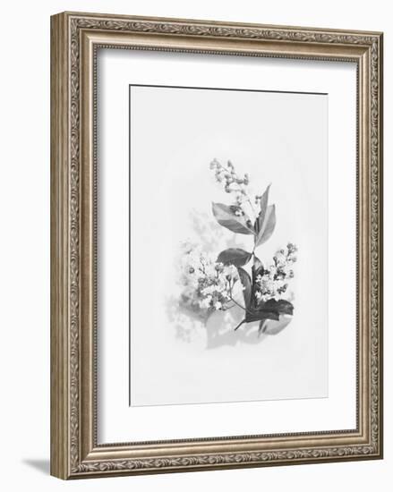 Evie-Design Fabrikken-Framed Art Print