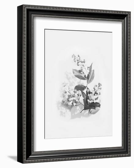 Evie-Design Fabrikken-Framed Art Print