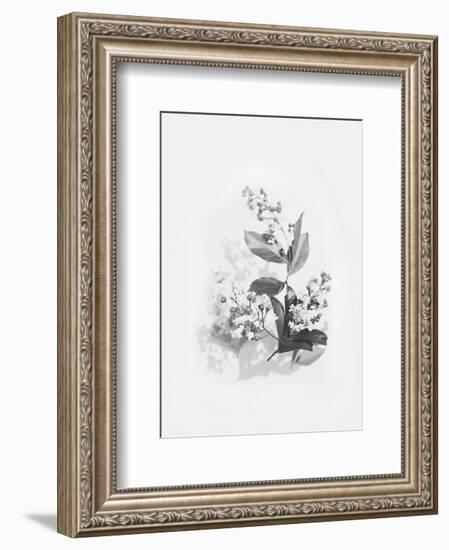 Evie-Design Fabrikken-Framed Art Print