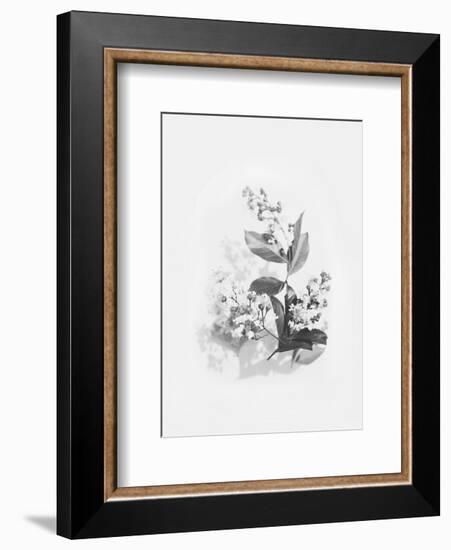 Evie-Design Fabrikken-Framed Art Print