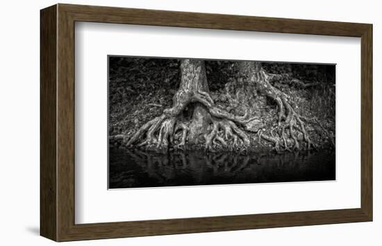 Evil Twins-Trent Foltz-Framed Art Print