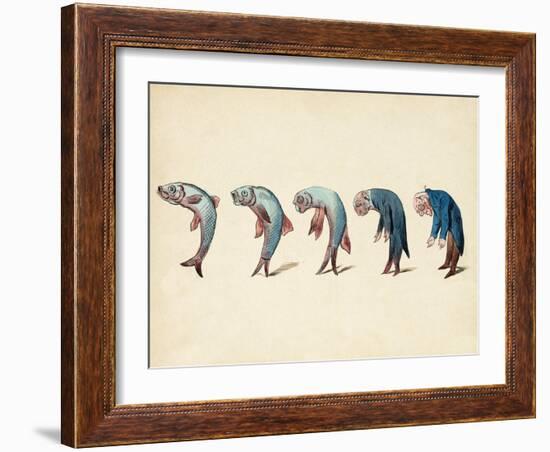 Evolution of Fish into Old Man, c. 1870-Science Source-Framed Giclee Print