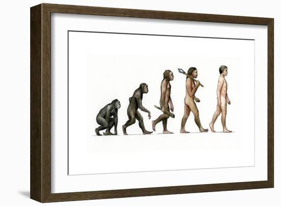 Evolution of Man-Karen Humpage-Framed Giclee Print