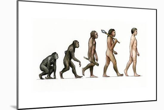 Evolution of Man-Karen Humpage-Mounted Giclee Print