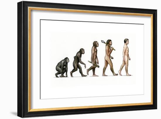 Evolution of Man-Karen Humpage-Framed Giclee Print