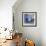 Evolve Blue II-Sharon Gordon-Framed Art Print displayed on a wall