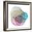 Evolving Planets II-Grace Popp-Framed Art Print