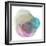 Evolving Planets II-Grace Popp-Framed Art Print