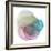 Evolving Planets II-Grace Popp-Framed Art Print