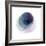 Evolving Planets III-Grace Popp-Framed Art Print