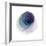 Evolving Planets III-Grace Popp-Framed Art Print