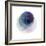 Evolving Planets III-Grace Popp-Framed Art Print