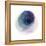 Evolving Planets III-Grace Popp-Framed Stretched Canvas