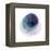 Evolving Planets III-Grace Popp-Framed Stretched Canvas