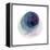 Evolving Planets III-Grace Popp-Framed Stretched Canvas