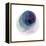 Evolving Planets III-Grace Popp-Framed Stretched Canvas