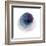 Evolving Planets III-Grace Popp-Framed Art Print