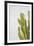 Evora-Alan Copson-Framed Giclee Print