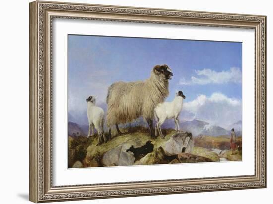 Ewe and Lambs-Richard Ansdell-Framed Giclee Print