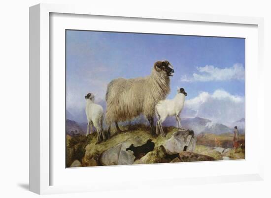 Ewe and Lambs-Richard Ansdell-Framed Giclee Print