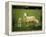 Ewe and Twin Lambs on Sheep Farm, Marlborough, South Island, New Zealand-Julia Thorne-Framed Premier Image Canvas