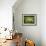 Ewe and Twin Lambs on Sheep Farm, Marlborough, South Island, New Zealand-Julia Thorne-Framed Photographic Print displayed on a wall