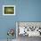 Ewe and Twin Lambs on Sheep Farm, Marlborough, South Island, New Zealand-Julia Thorne-Framed Photographic Print displayed on a wall