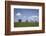 Ewe with Cub on the Elbe Dike Near Hollerwettern in the Wilster Marsh Near Wewelsfleth-Uwe Steffens-Framed Photographic Print