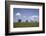 Ewe with Cub on the Elbe Dike Near Hollerwettern in the Wilster Marsh Near Wewelsfleth-Uwe Steffens-Framed Photographic Print