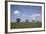 Ewe with Cub on the Elbe Dike Near Hollerwettern in the Wilster Marsh Near Wewelsfleth-Uwe Steffens-Framed Photographic Print