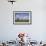 Ewe with Cub on the Elbe Dike Near Hollerwettern in the Wilster Marsh Near Wewelsfleth-Uwe Steffens-Framed Photographic Print displayed on a wall