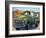 EweBer-CR Townsend-Framed Art Print