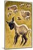 Ewes and Lambs, 1953-Isabel Alexander-Mounted Giclee Print