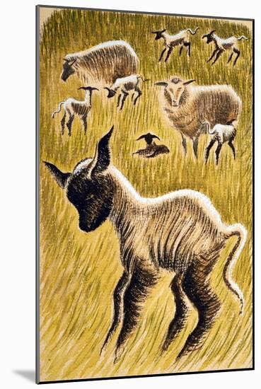 Ewes and Lambs, 1953-Isabel Alexander-Mounted Giclee Print