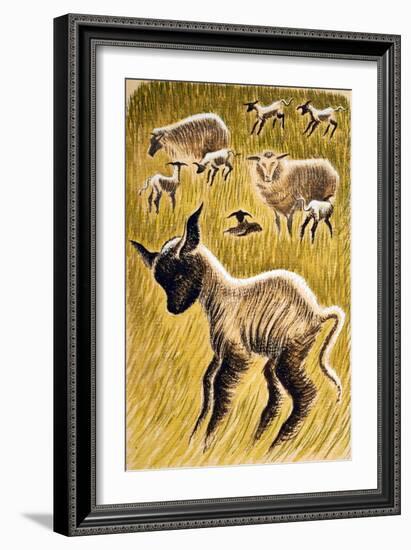 Ewes and Lambs, 1953-Isabel Alexander-Framed Giclee Print