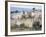 Ex-Hacienda Angustias from the Mining Era, near Mineral de Pozos, Guanajuato, Mexico-Julie Eggers-Framed Photographic Print