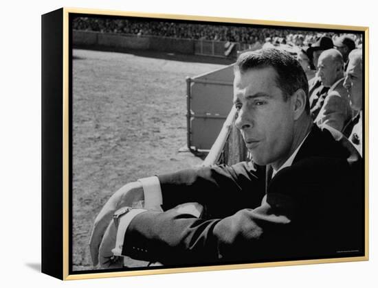Ex Yankee Baseball Player Joe DiMaggio, Leaning over Rail Watching 3rd Game of the World Series-Grey Villet-Framed Premier Image Canvas