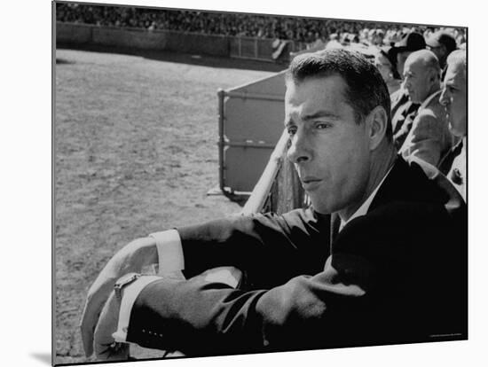 Ex Yankee Baseball Player Joe DiMaggio, Leaning over Rail Watching 3rd Game of the World Series-Grey Villet-Mounted Premium Photographic Print